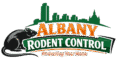 Effective Rodent Control in Albany, NY - Trusted Exterminator