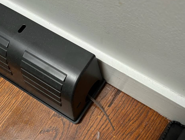 trapped rodent in albany home