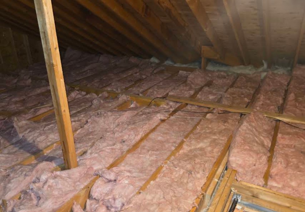 attic rodent inpsection work in albany home