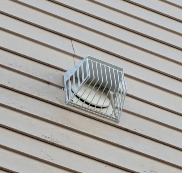 rodent proofing an albany home